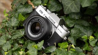 Fujifilm X-T30 III camera in an ivy bush
