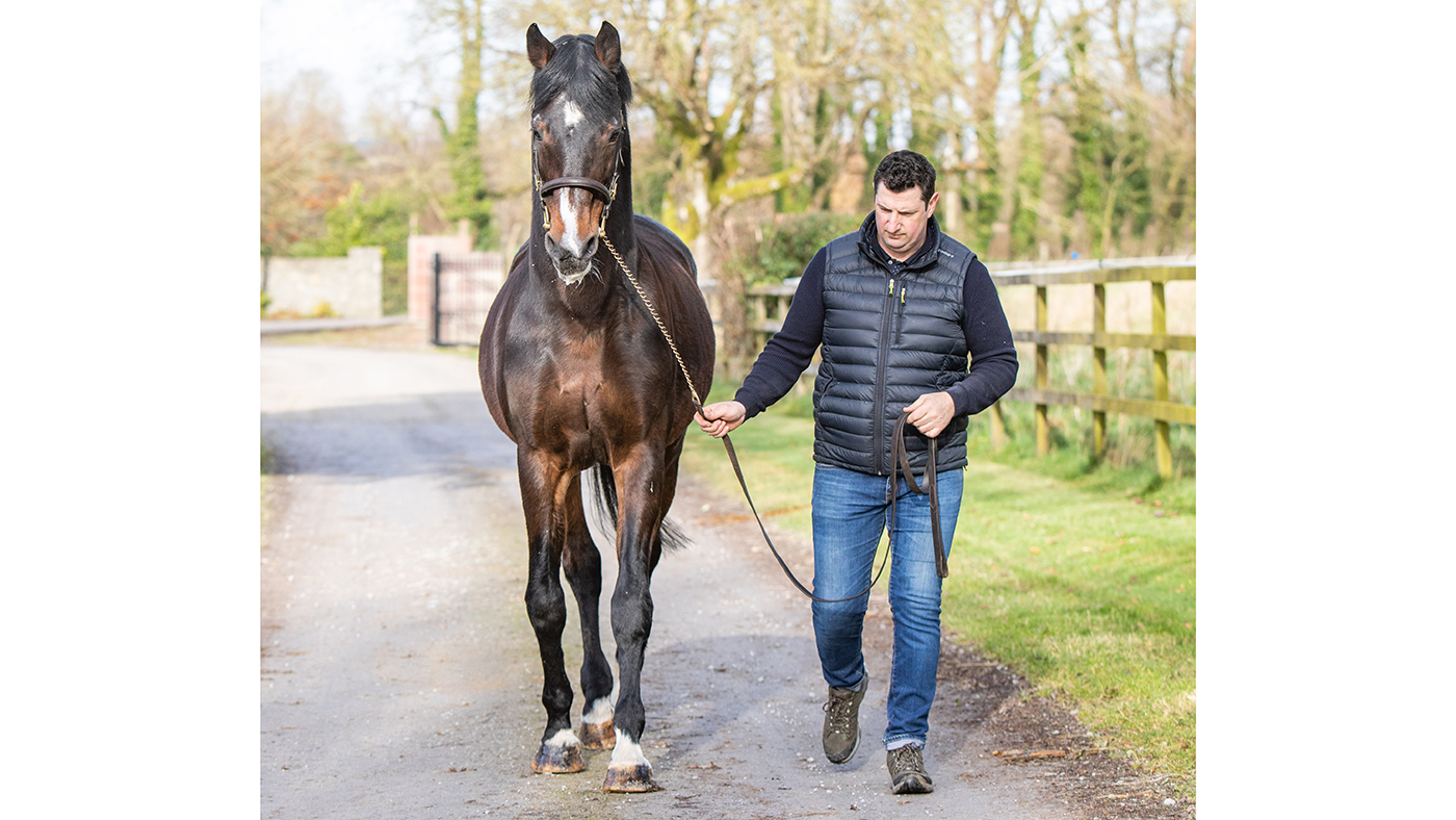 Coolballyshan Stud 05 02 2020