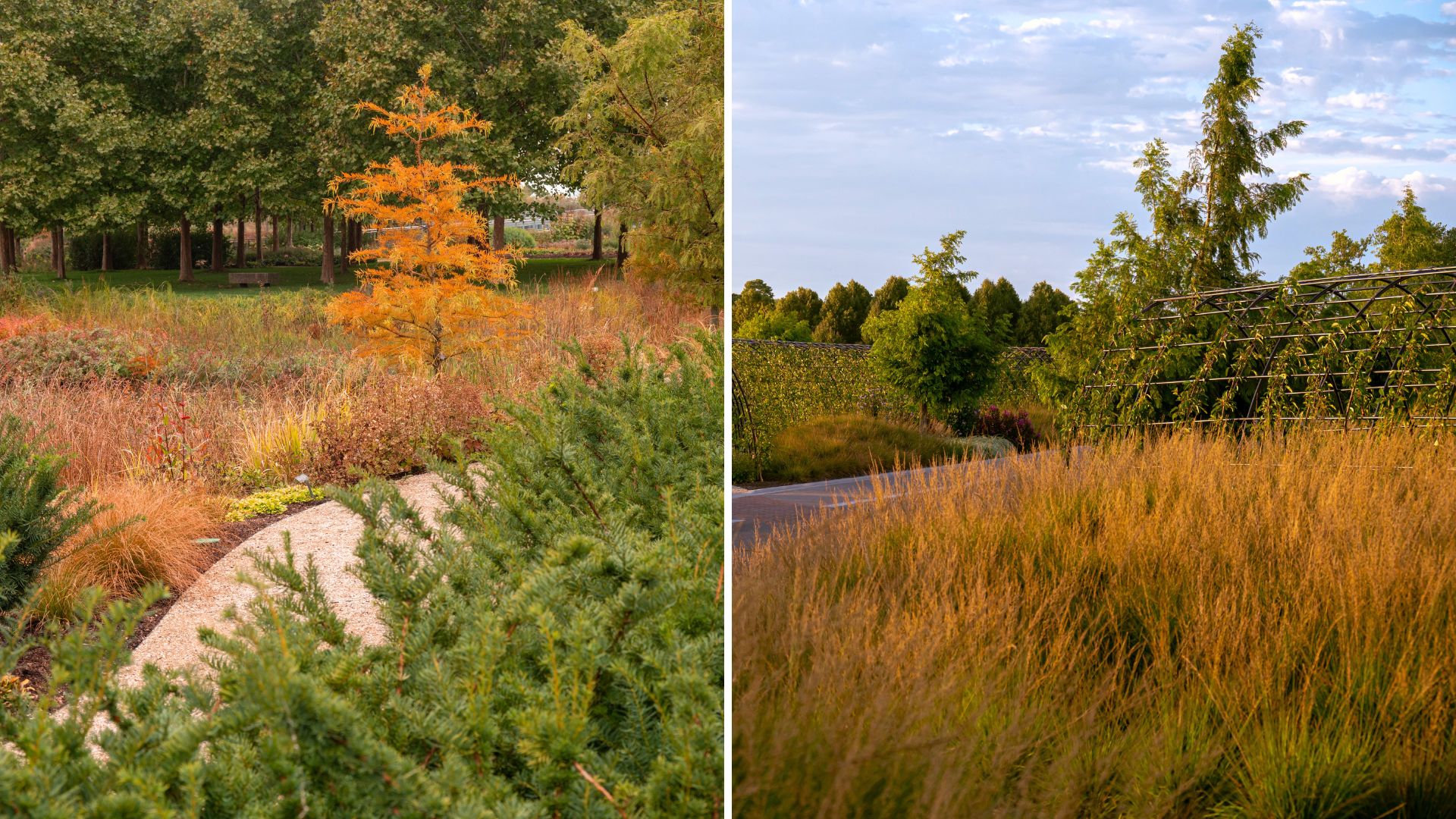 Chicago Botanic Garden Shida Garden in fall