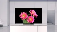 This Vizio 4K TV shows pink flowers against black background