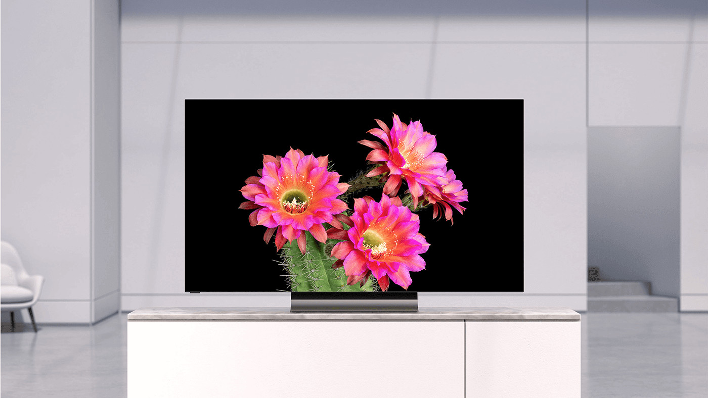 Vizio H1 OLED TV displaying pink flowers onscreen