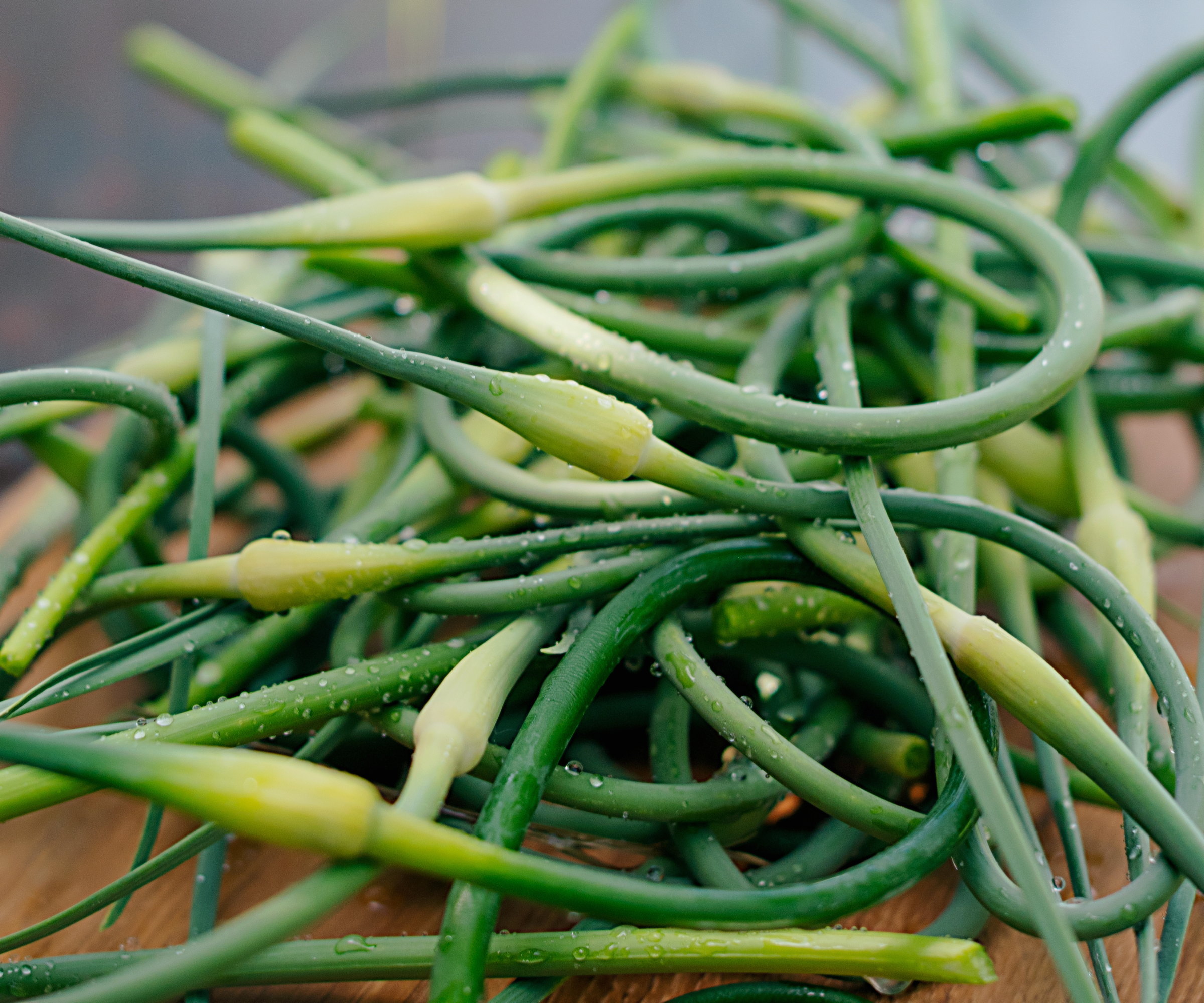A bunch of curled garlic scapes piled on a wooden board
