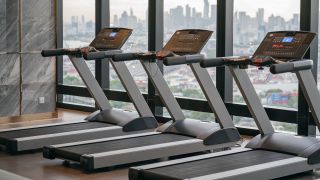 Row of treadmills in gym