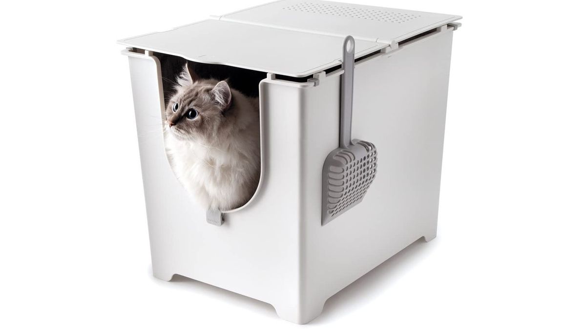 Modkat flip litter box