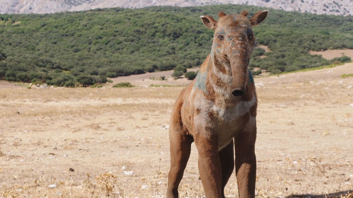 Worlds apart How His Dark Materials season 3 tackles its own