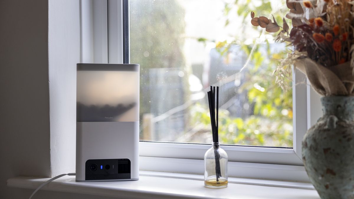 Petcube Bites 2 Lite review the top dog in affordable pet cameras