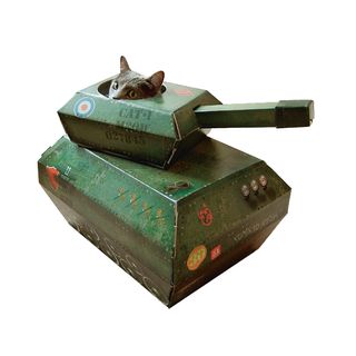 cat on green cat tank