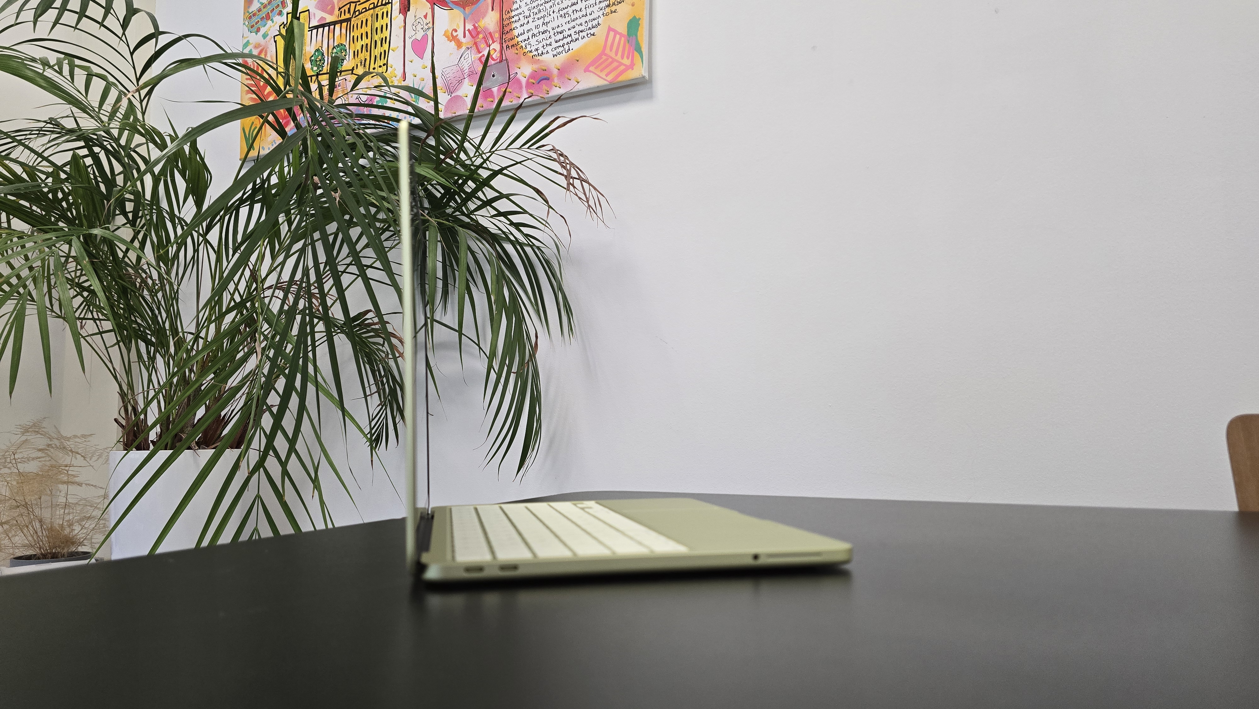 MacBook Neo laptop on a desk with plant in background