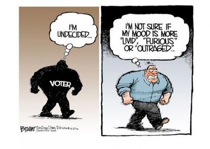 Voters' dilemma