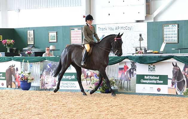 RoR-Horse-of-the-Year-Liverpool-at-RoR-Nat-Champ-show.jpg