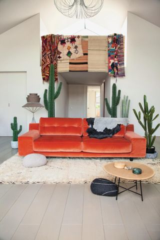 A living room with an orange sofa, with cacti surrounding it
