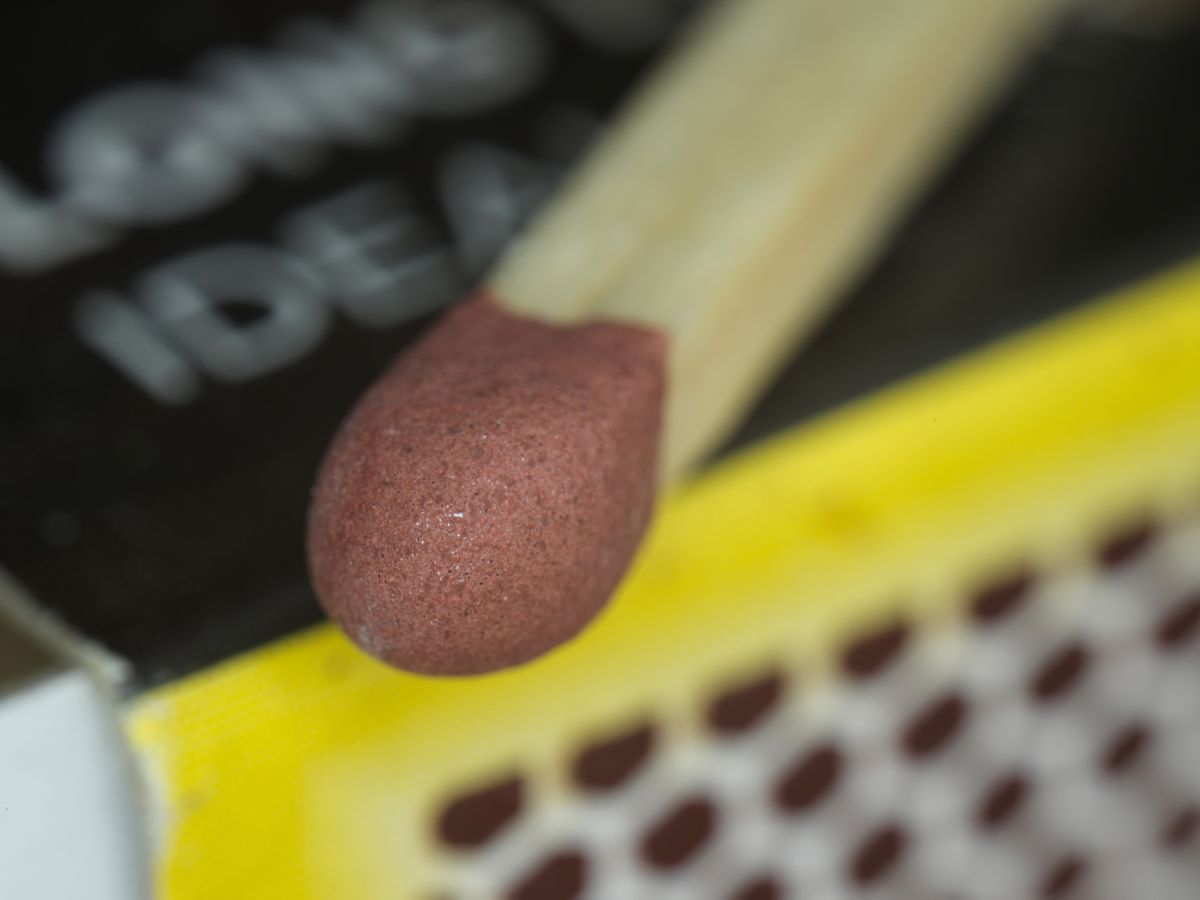 Sample macro photograph taken with the Mitakon 55mm f/2.8 1-5x Macro lens on the Hasselblad X2D II 100C