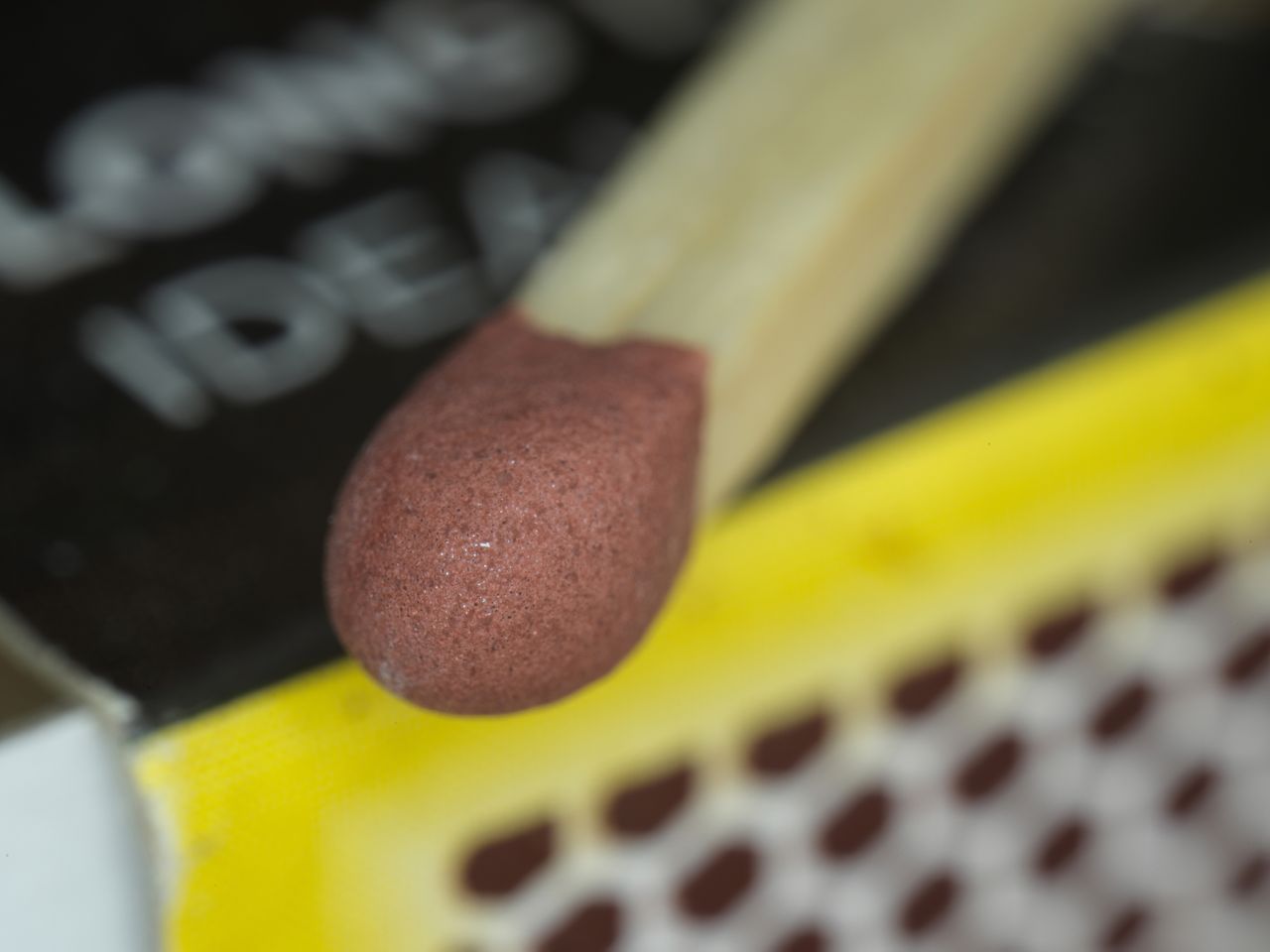 Sample macro photograph taken with the Mitakon 55mm f/2.8 1-5x Macro lens on the Hasselblad X2D II 100C