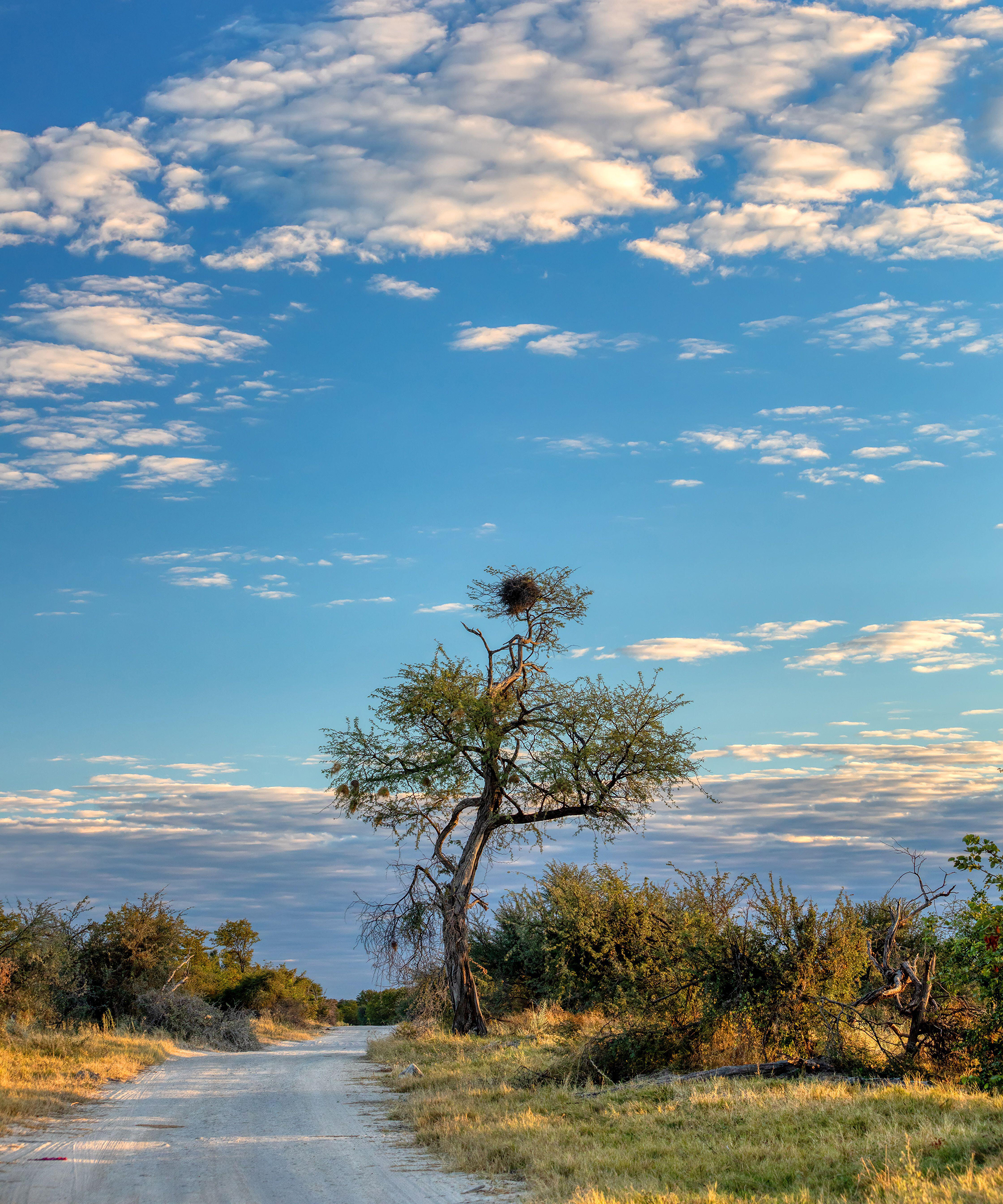 Dream destinations Botswana