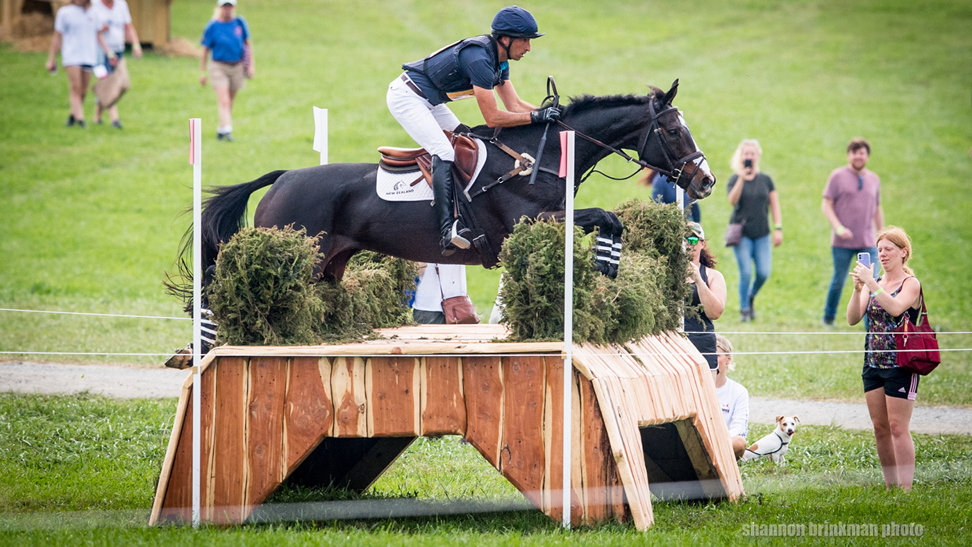 Tim Price: five-star record set by the New Zealander