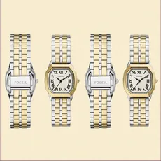 fossil