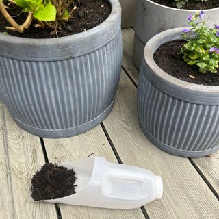 A milk plastic bottle made into a soil scoop
