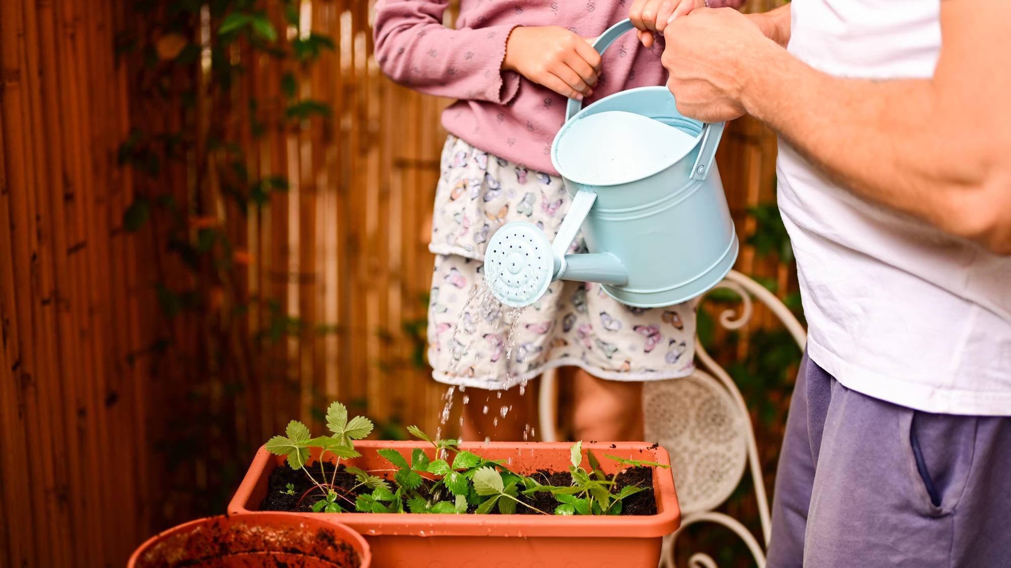 Father and daughter watering seedlings