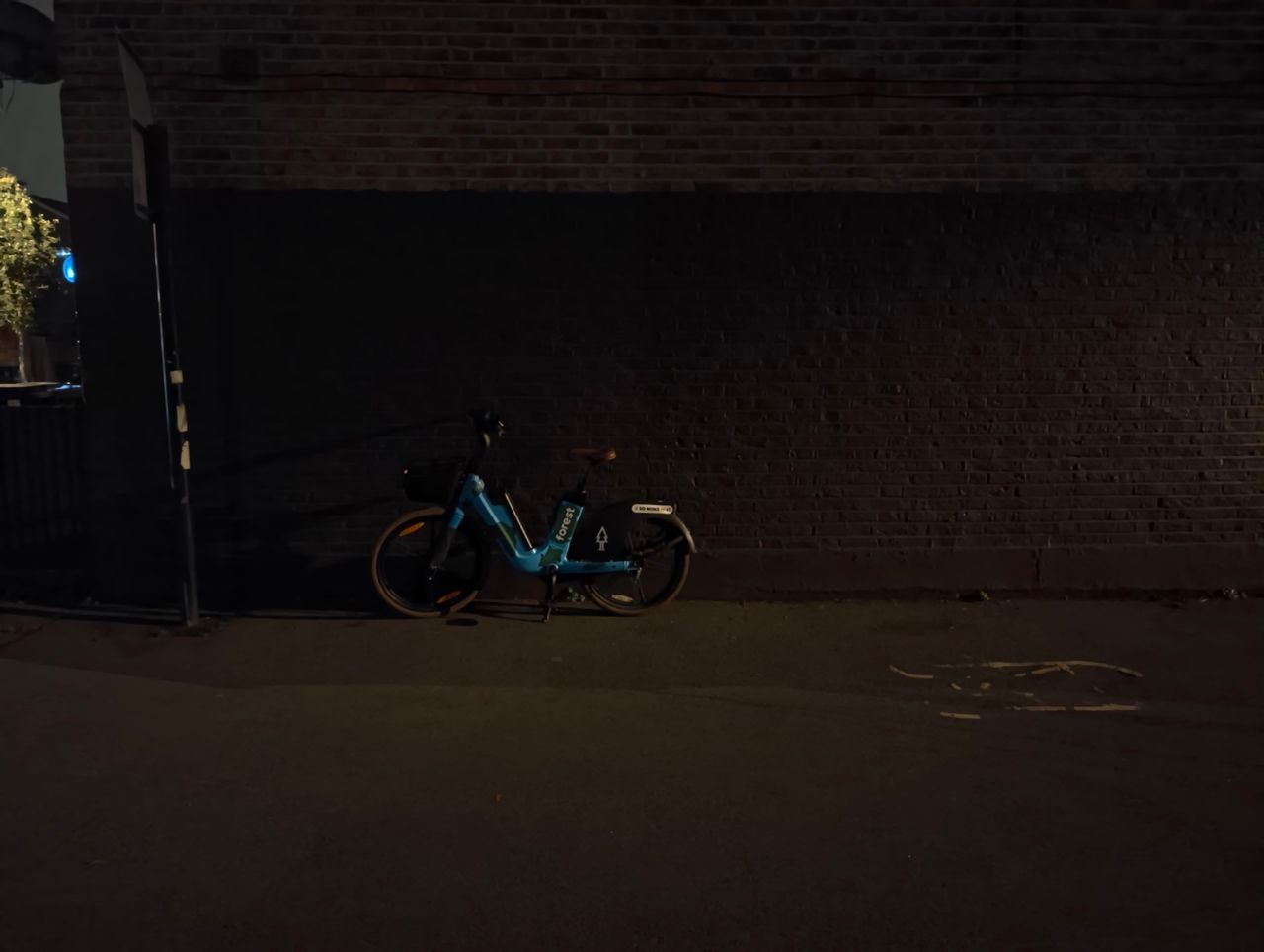 A Forest Bike at night