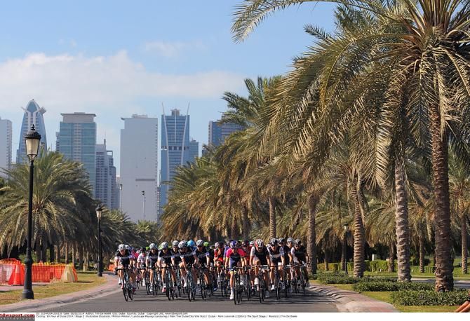 Palm trees dwarf the peloton in the Dubai Tour