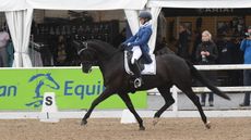Amy Jack Graf Hit VH Bloemenhof