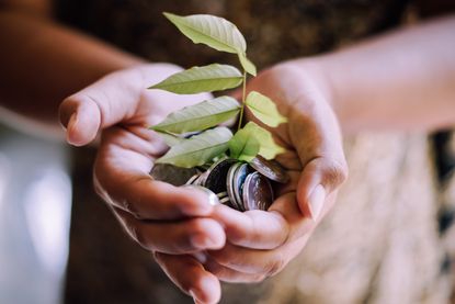A Tree and Coins in a Hand