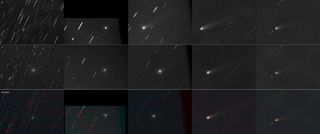 This series of images shows comet C/2011 W3 Lovejoy as it appeared to a remote controlled observatory in Malargue, Argentina on the mornings of Dec. 6, 7, 8, 10 and 11 in 2011, just days before it was set to fly through the sun's outer atmosphere. This image was taken by a skywatching team of astronomers that includes: Jakub Cerny, Jan Ebr, Martin Jelinek, Petr Kubanek, Michael Prouza, Michal Ringes.