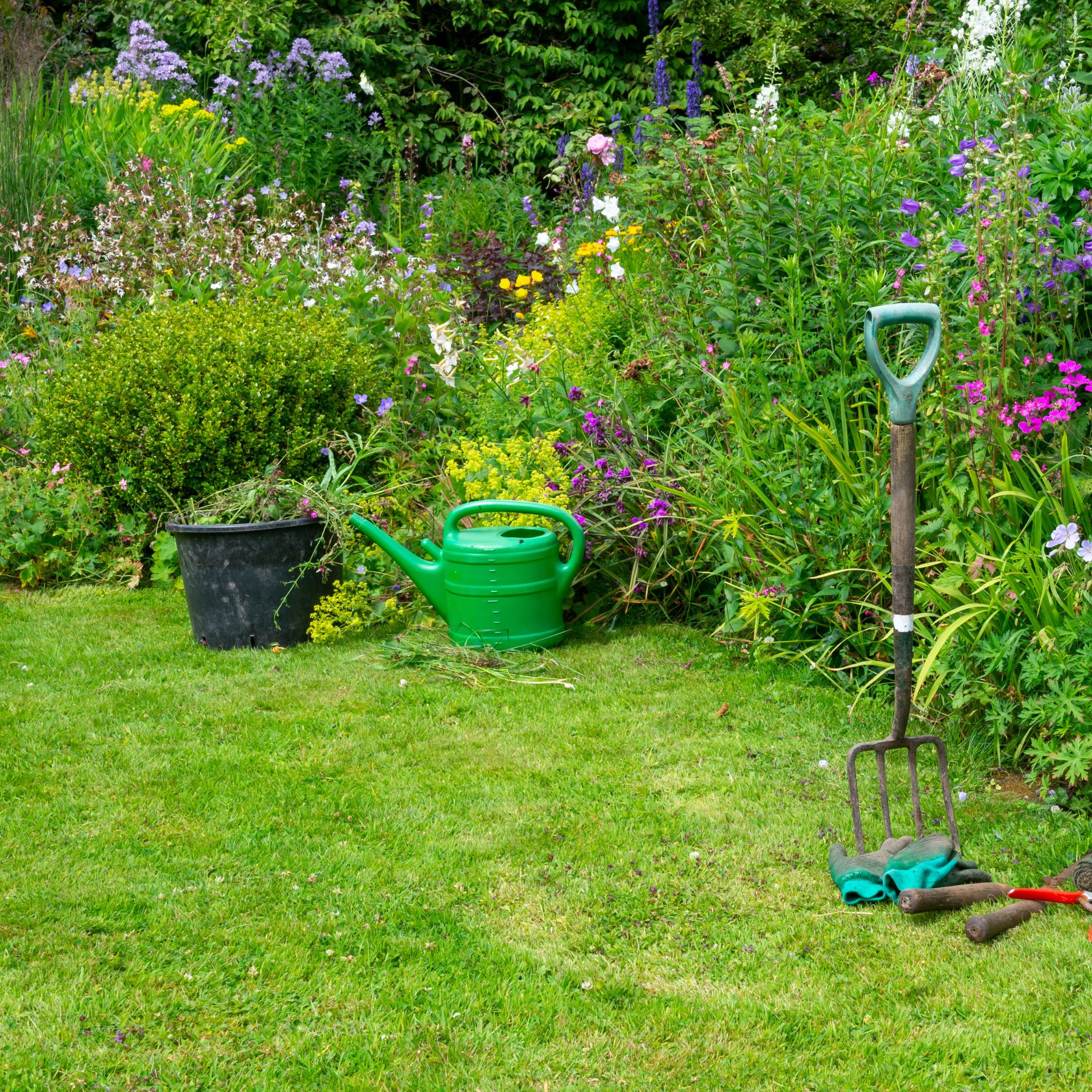 garden grass with flower beds