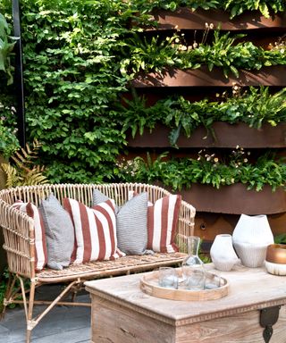 vertical garden and furniture in courtyard garden