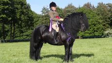 SSADL RIDDEN CHAMPIONSHIP CHAMPION RESERVE RIDDEN SUPREME 674 DARRENVALE WARRIOR R: Jodie Smith