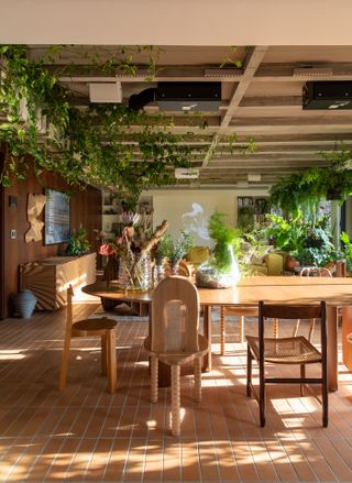 green spaces within guto requena's terrace apartment