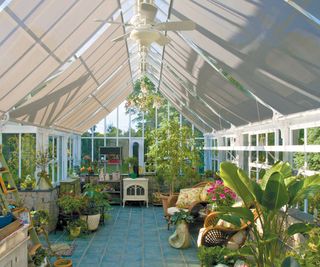 interior of greenhouse with victorian blinds from Hartley Botanic