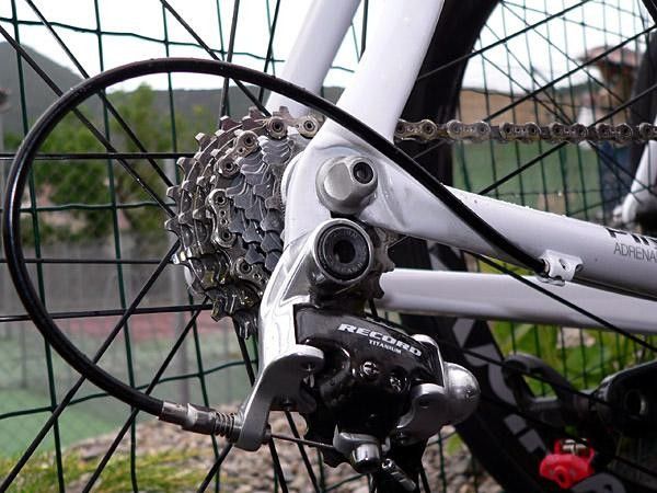 Droputs are neatly integrated