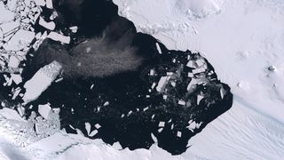 Sea ice breaks up at the mouth of Pine Island glacier in this 2019 image taken by Sentinel-2 satellites.