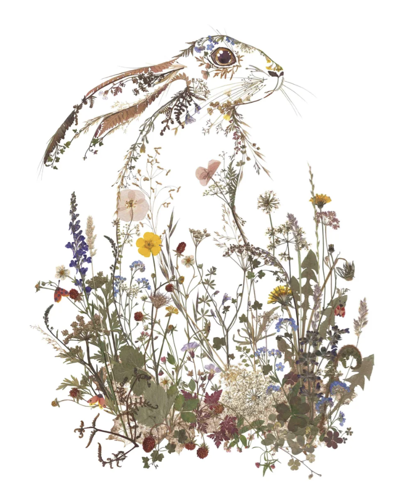 A hare illustration made from pressed ferns and petals, its body emerging from a dense arrangement of real pressed wildflowers including buttercups, cow parsley and clover.