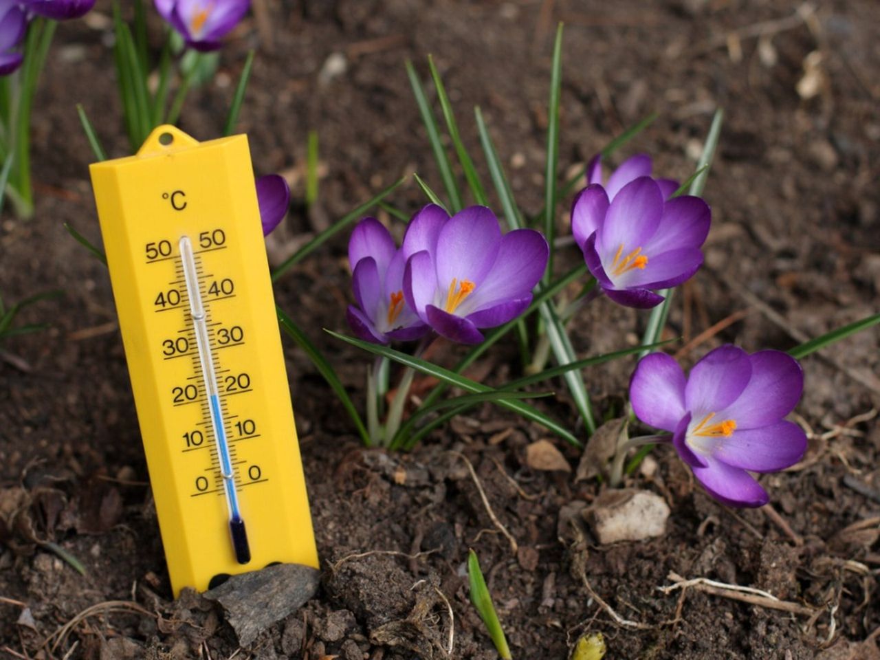 spring temperatures