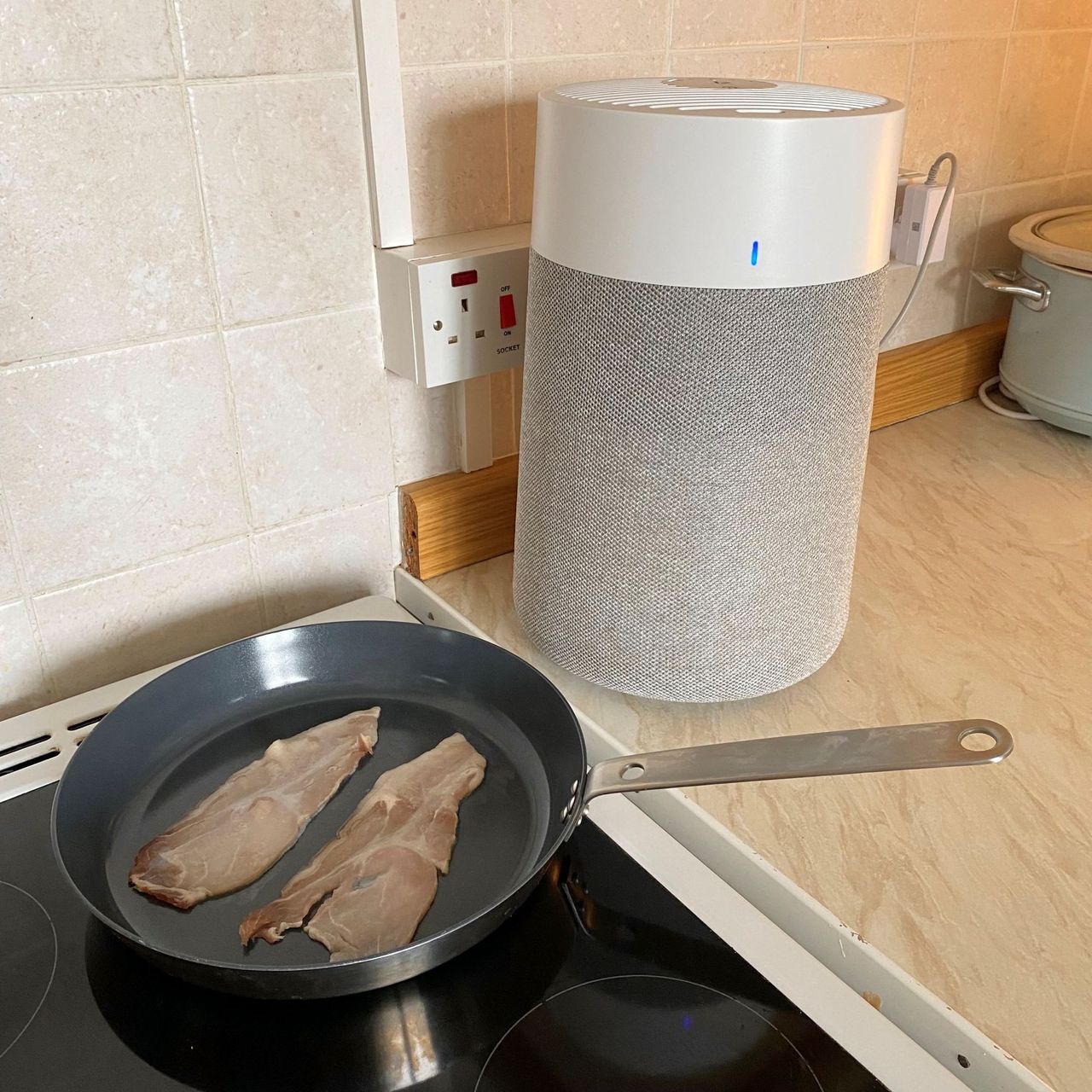 Blueair Blue Pure 511i Max Air Purifier - bacon test