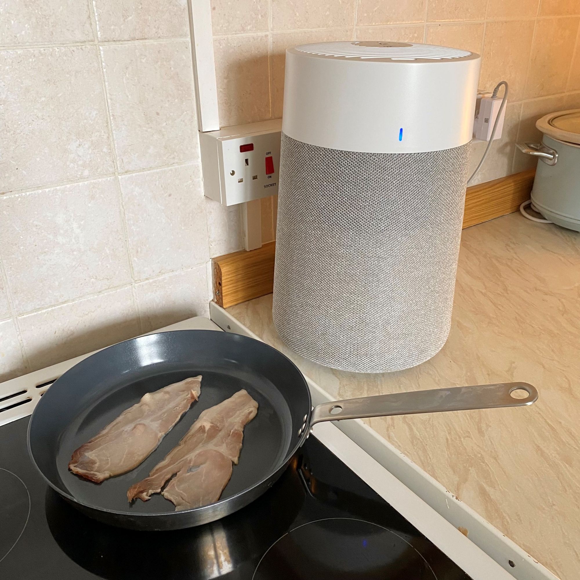 Blueair Blue Pure 511i Max Air Purifier - bacon test