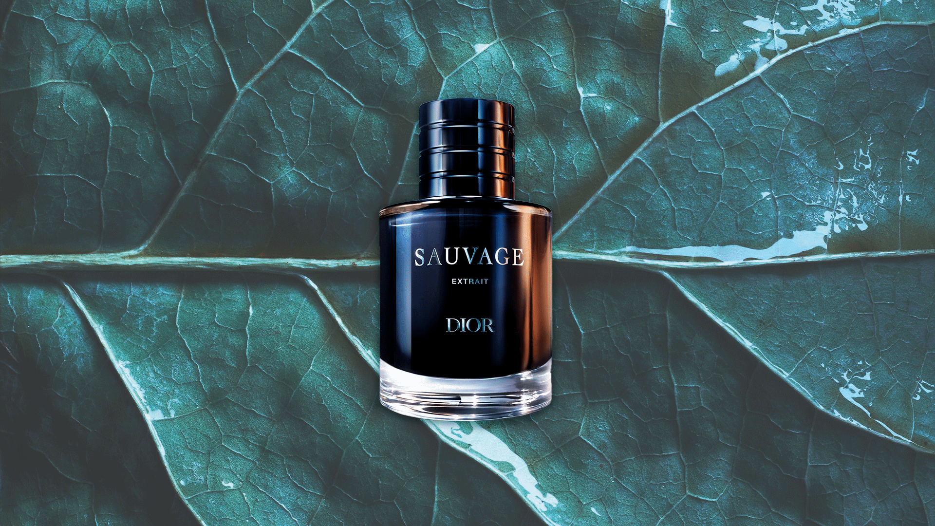 With Its "Dense" New Scent, Dior Just Cemented This Year's Biggest Perfume Trend