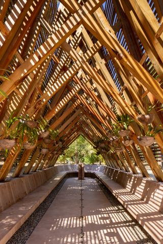 inside the timber structure of Orchid Pavilion in mexico