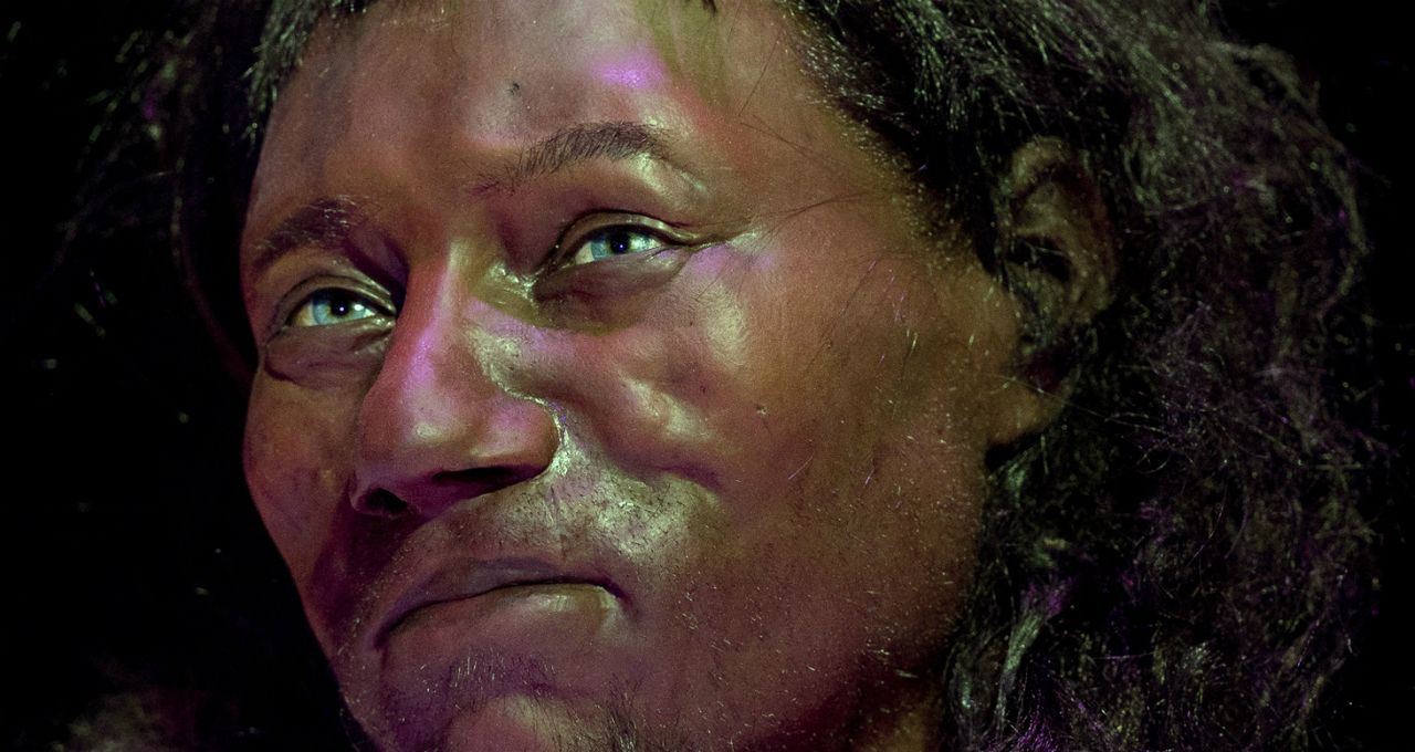 A reconstruction model made from the skull of a 10,000-year-old &amp;#039;Cheddar Man&amp;#039; skeleton