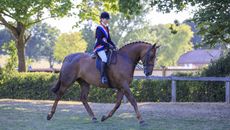 RIHS supreme amateur hunter championship