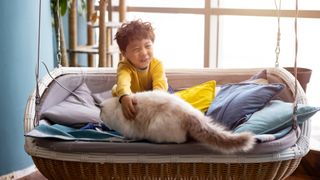 Boy playing with his ragdoll cat