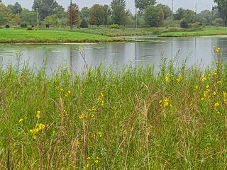 Samsung Galaxy Z Flip 3 camera samples