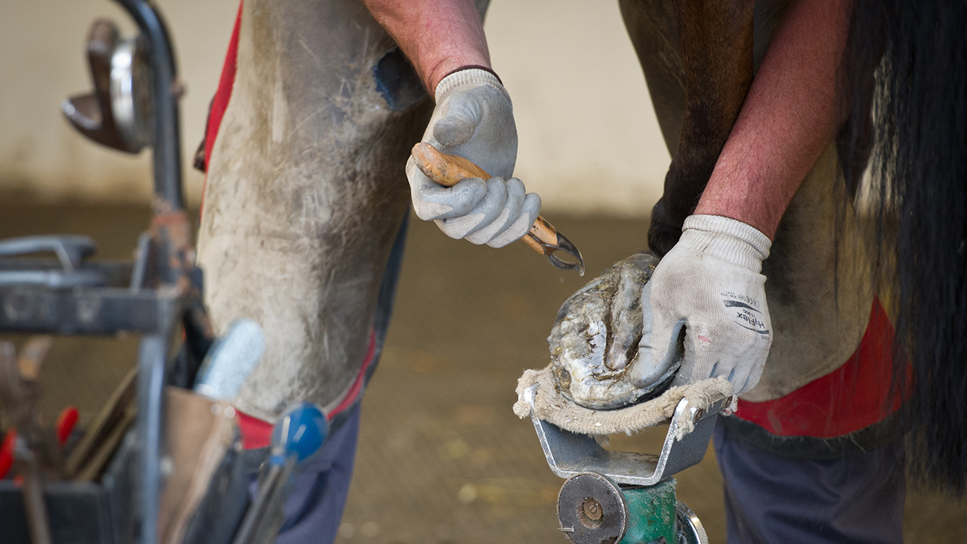 farrier-DSC4125-1.jpg