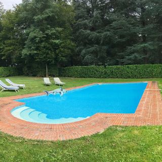 swimming pool with pool sunloungers and trees