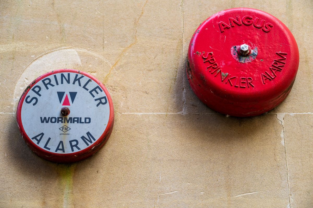 Viltrox AF 85mm f/2.0 Evo example shot