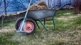 A thatching rake next to a wheel barrow filled with thatch