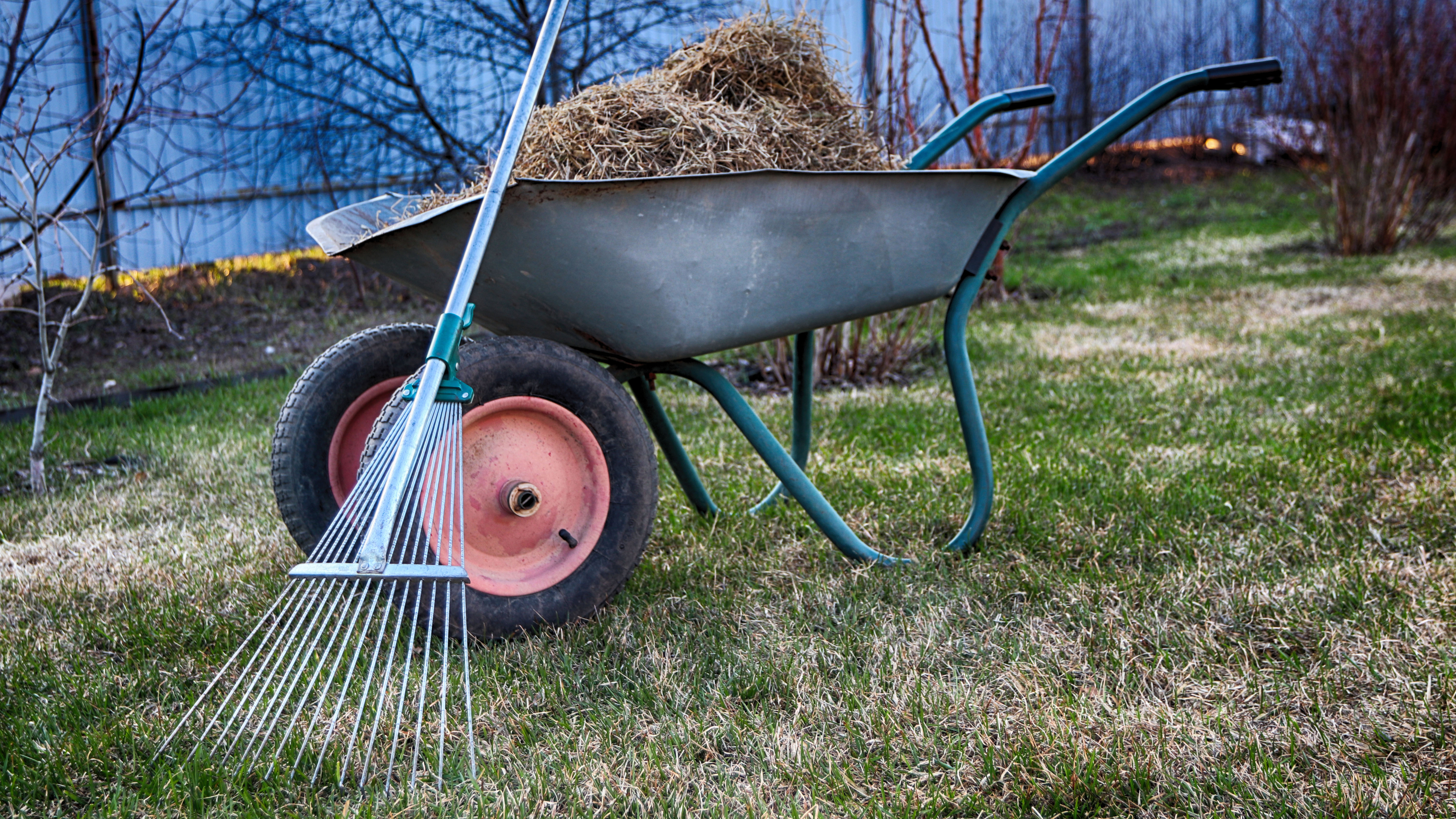 Rake a straw next to a wheel wagon full of straw