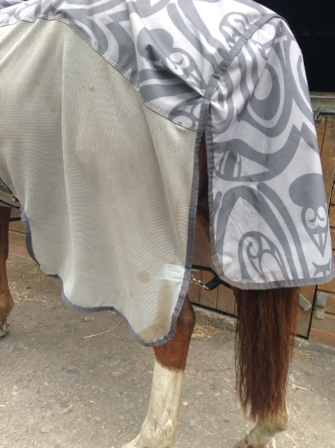 Amigo Vamoose Fly Rug fillet